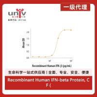 Recombinant Human IFN-beta Protein, CF (10 ug)