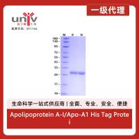 Apolipoprotein A-I/Apo-A1 His Tag Protein, Human
