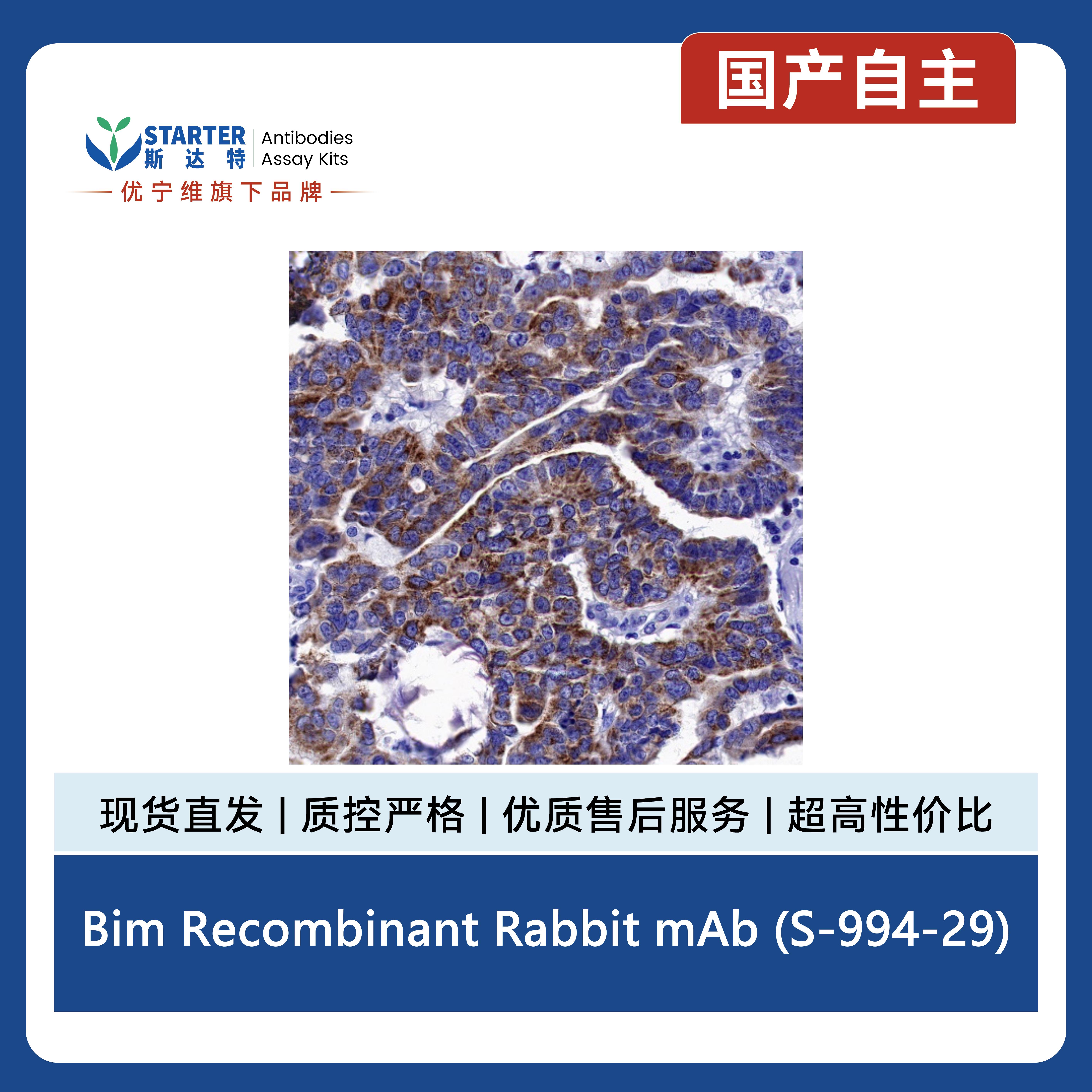产品细节图片6