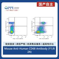 Mouse Anti-Human CD68 Antibody (Y1/82A)