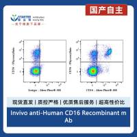 Invivo anti-Human CD16 Recombinant mAb