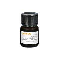 牛心细胞色素C (Cytochromes C) 肌高铁血红素