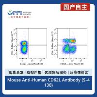 Mouse Anti-Human CD62L Antibody (S-4130)
