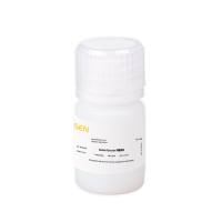 乙酰甲酸钠盐 Sodium Pyruvate 丙|酮酸钠