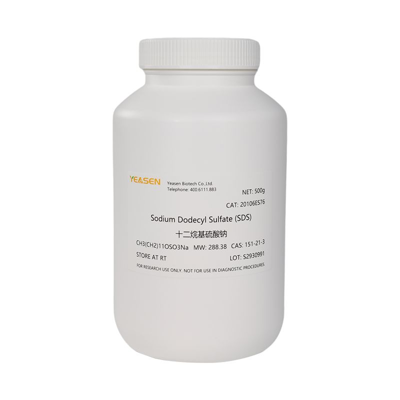 SDS十二烷基硫酸钠(Sodium Dodecyl Sulfate)产品图