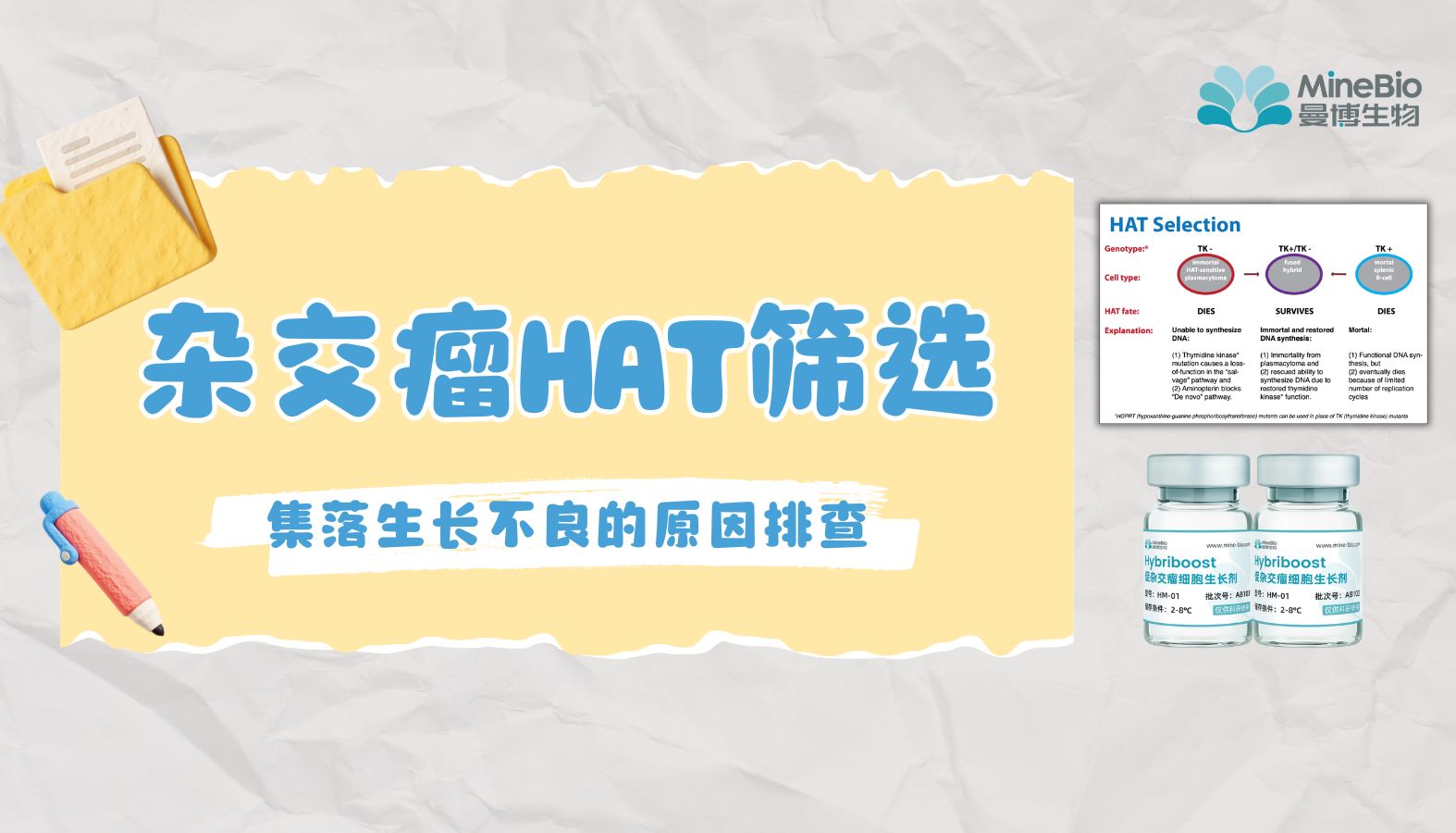 杂交瘤HAT筛选｜集落生长不良的7项排查要点