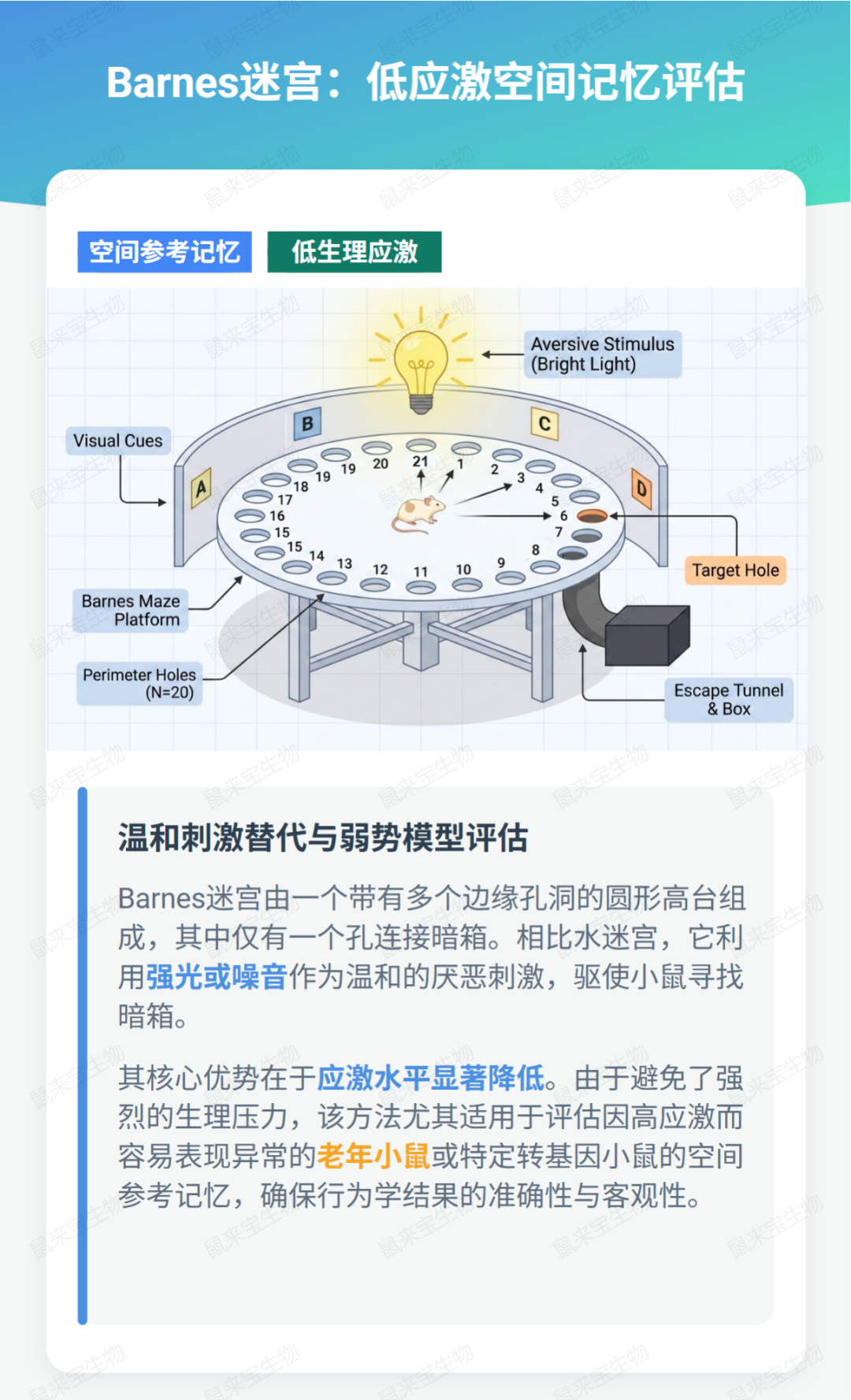技术达人｜图解小鼠学习记忆行为学方法