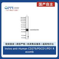 Invivo anti-Human CD279/PDCD1/PD1 Recombinant mAb (D12)