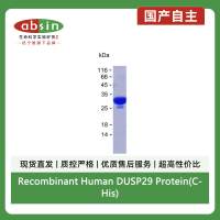 Recombinant Human DUSP29 Protein(C-His)