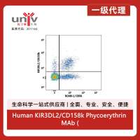Human KIR3DL2/CD158k Phycoerythrin MAb (Clone 539304) (25 Tests)