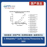 S-RMabMix™ Sulfo-Serine/Threonine Rabbit mAb