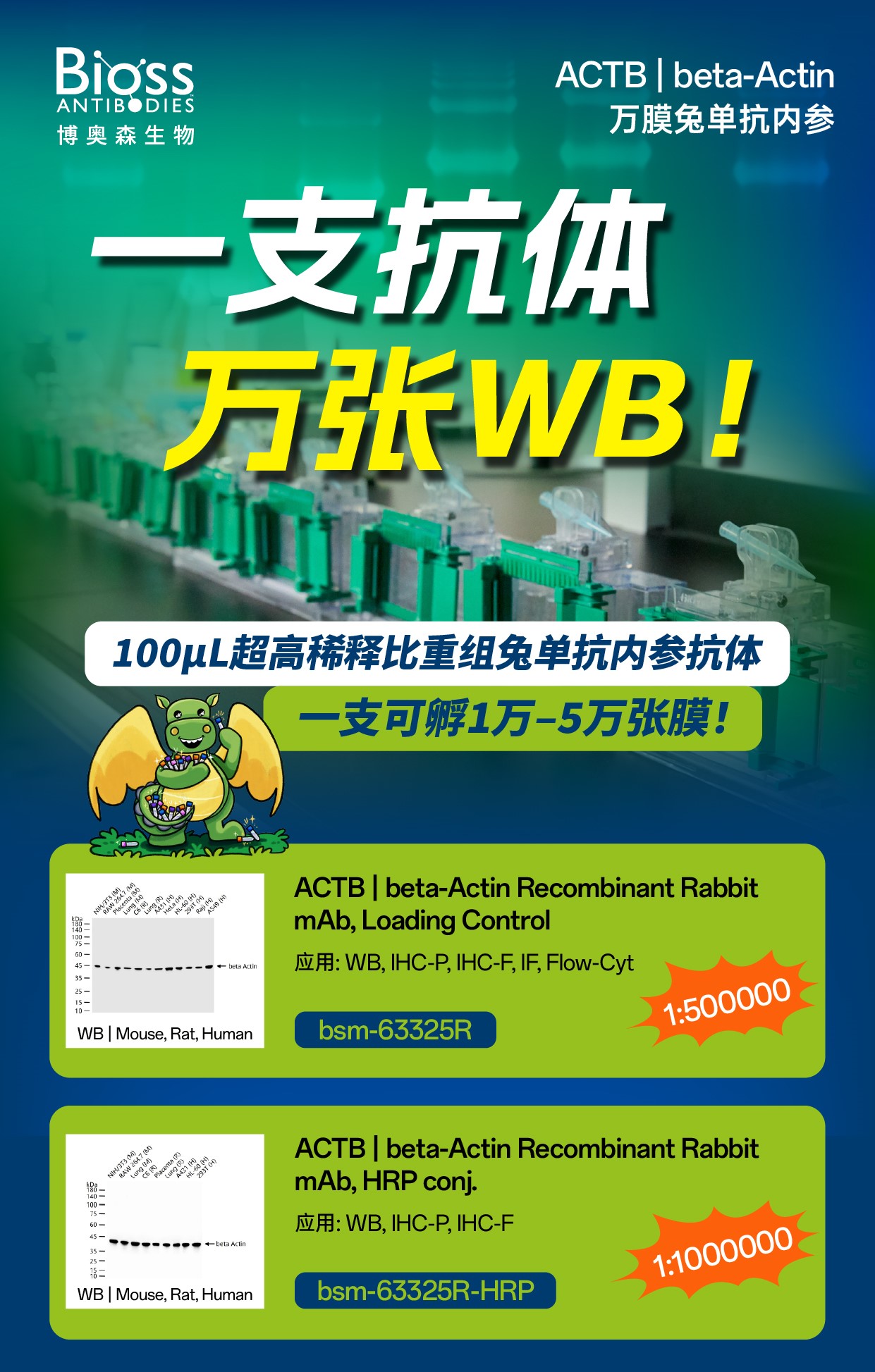 万膜兔单抗内参 | 一支抗体，万张WB！