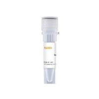 重组HBV表面抗原 Recombinant HBV Surface Antigen (adr)