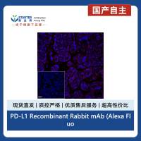 PD-L1 Recombinant Rabbit mAb (Alexa Fluor® 555 Conjugate) (SDT-119-16)