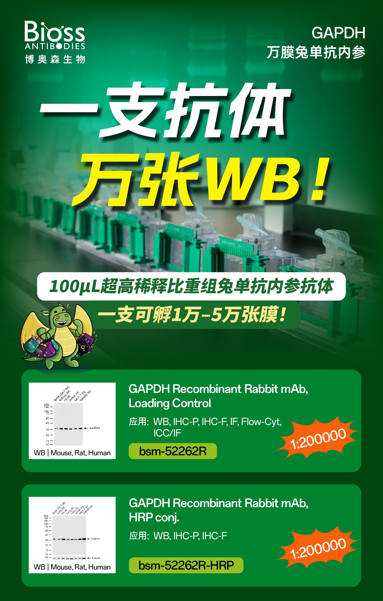 新闻图片2