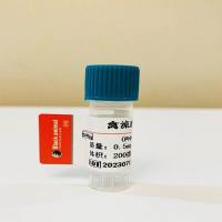 重组禽流感病毒h7N9真核蛋白;禽流感病毒H7抗原;AIV H7抗原