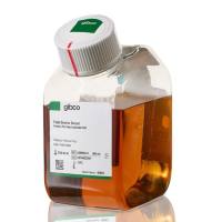 Gibco货号A5669801澳洲/新西兰胎牛血清(热灭活)[Fetal Bovine Serum(Premium Plus)]上海睿安生物19121878899