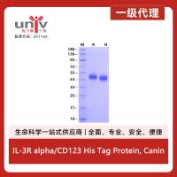 IL-3R alpha/CD123 His Tag Protein, Canine