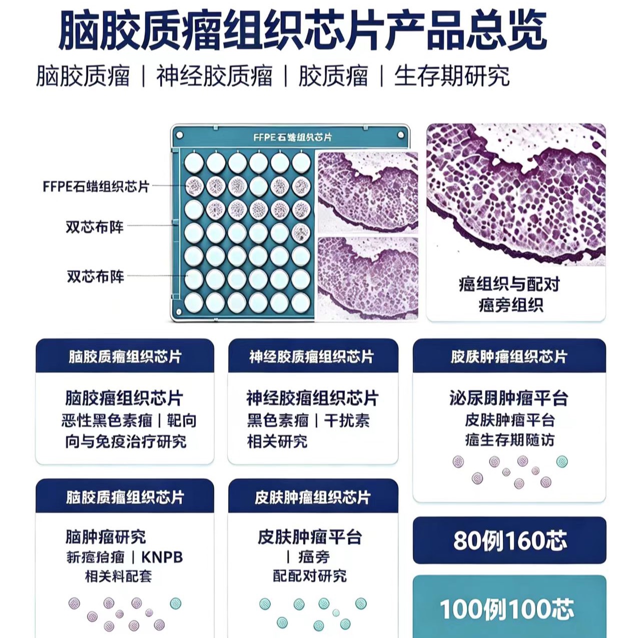 脑胶质瘤/神经肿瘤组织芯片