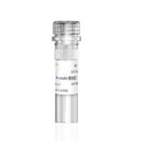 Mevastatin 美伐他汀 HMG-CoA还原酶抑制剂/HMG辅酶A抑制剂
