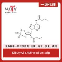 Dibutyryl-cAMP (sodium salt)