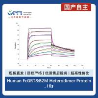 Human FcGRT&B2M Heterodimer Protein, His Tag