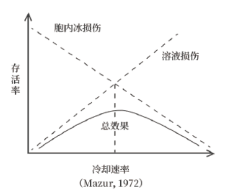 产品细节图片1