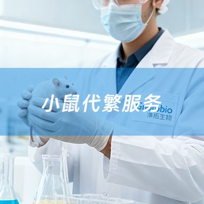 小鼠代繁服务