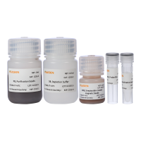 原核生物rRNA(核糖体RNA)去除试剂盒(含纯化磁珠)|Prokaryote rRNA Removal Kit