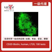 CD20-Biotin, human, LT20, 100 tests