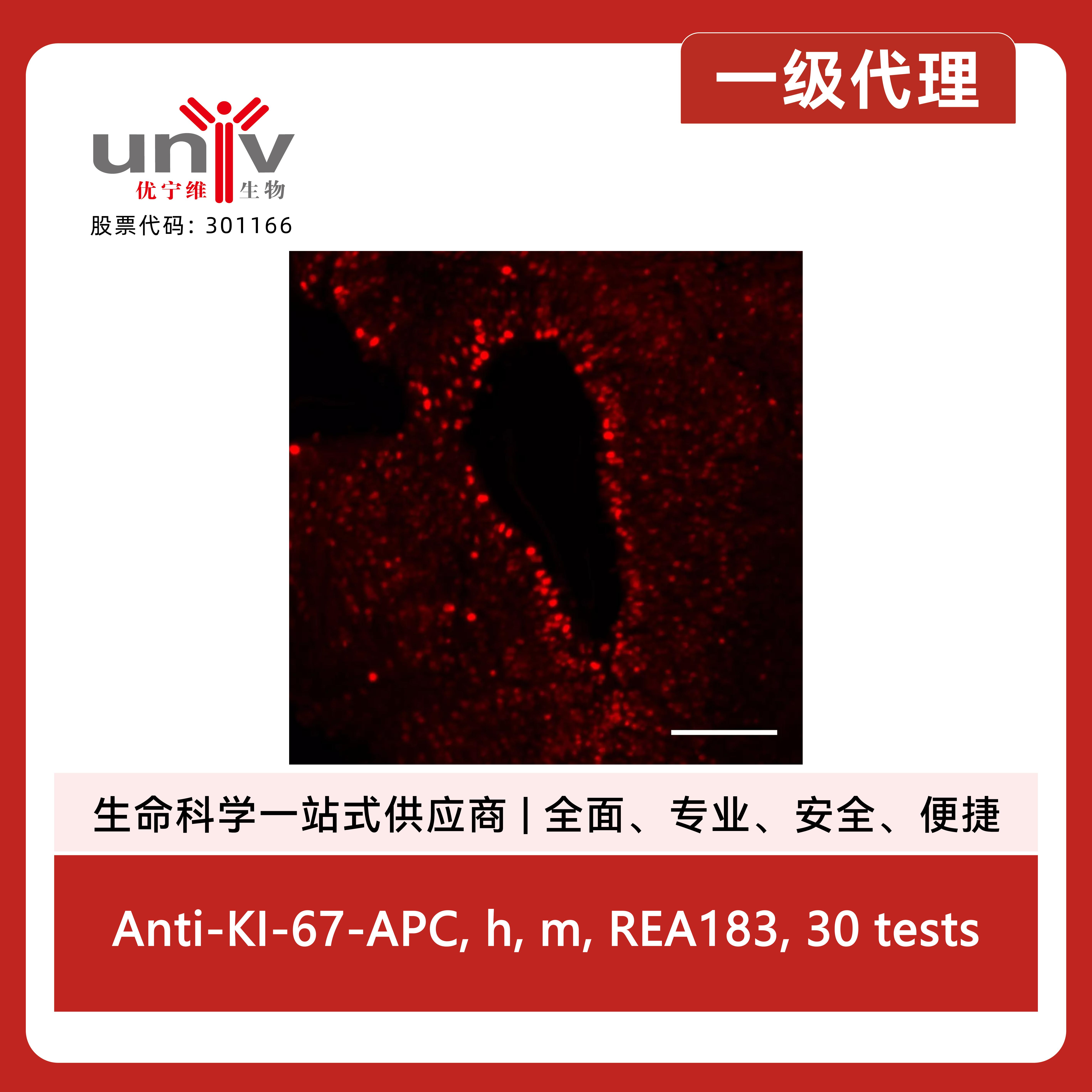 产品细节图片12