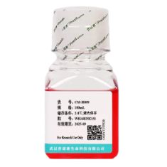 人支气管上皮细胞完全培养基