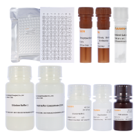 耐高盐全能核酸酶ELISA检测试剂盒(Salt Active UltraNuclease ELISA kit)