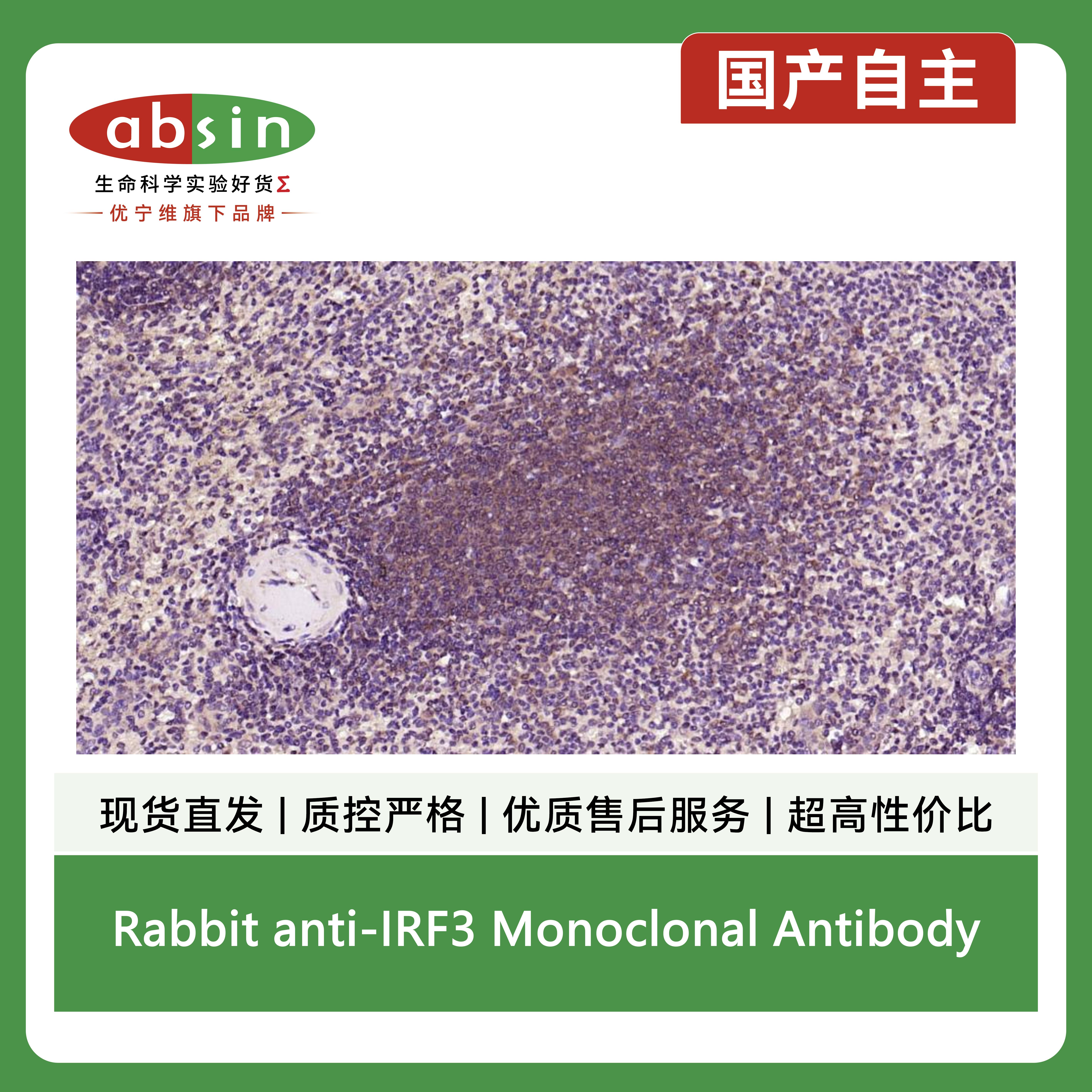 产品细节图片5