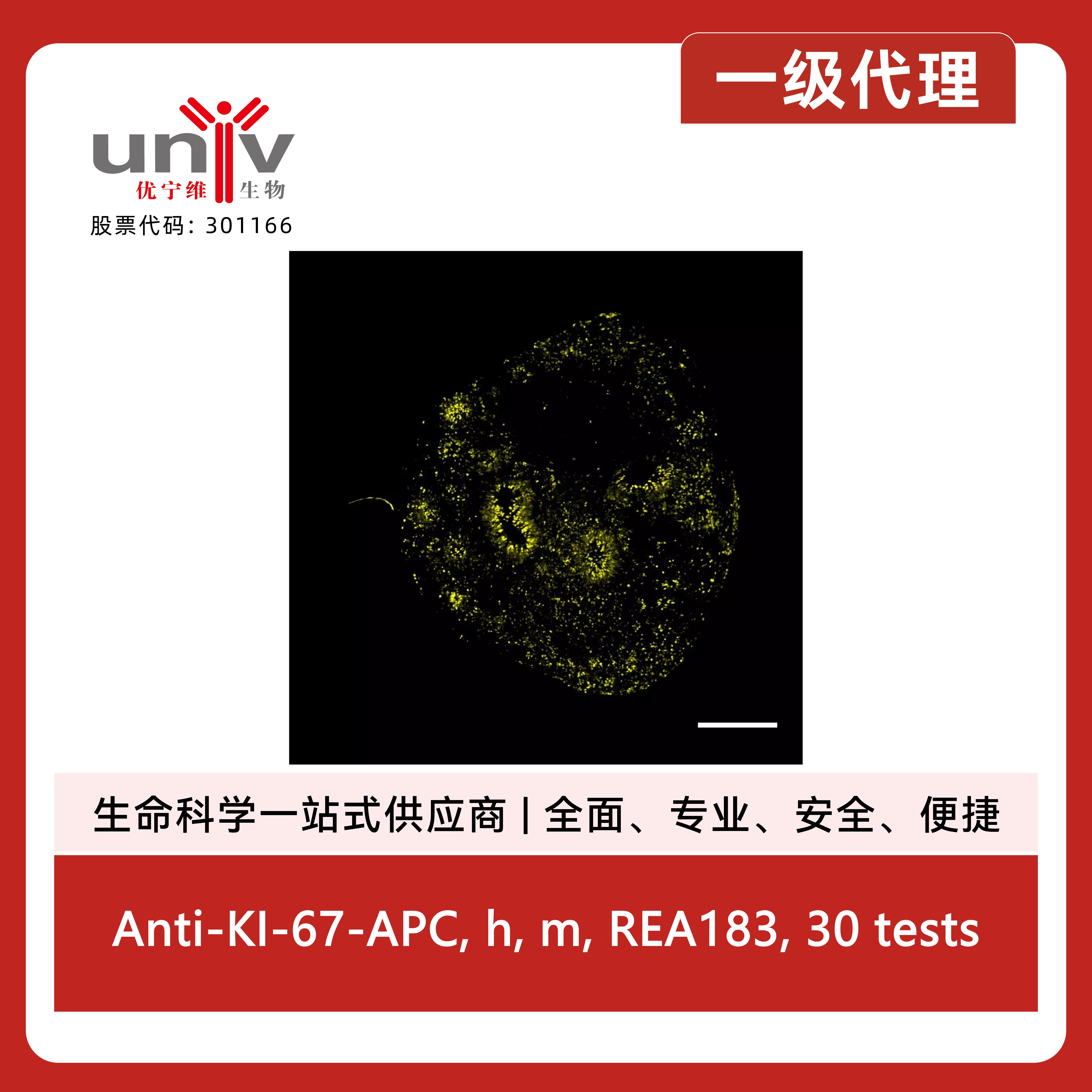 产品细节图片3