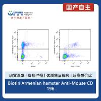 Biotin Armenian hamster Anti-Mouse CD196 Antibody (S-R621)
