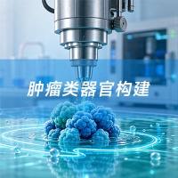 肿瘤类器官构建
