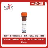 Human TMEM119 Alexa Fluor 488 MAb (Clone 1023426) (100 UG)