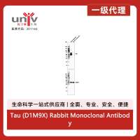 Tau (D1M9X) Rabbit Monoclonal Antibody