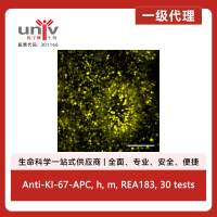 Anti-KI-67-APC, h, m, REA183, 30 tests