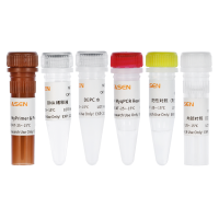MycAway®支原体qPCR检测试剂盒(探针法)(2G) Real-time qPCR Detection Kit