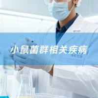 小鼠菌群相关疾病的模型构建服务