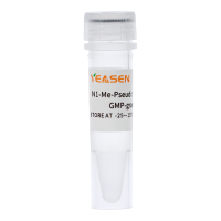N1-甲基假尿苷三磷酸Tris溶液GMP级(100 mM) N1-Me-Pseudo UTP Tris Solution