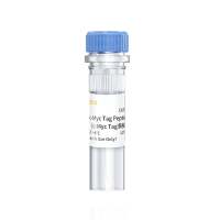 c-Myc Tag多肽 c-Myc合成多肽|c-Myc Tag Peptide