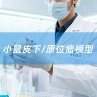 小鼠皮下/原位瘤模型