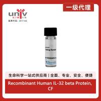 Recombinant Human IL-32 beta Protein, CF (25 ug)