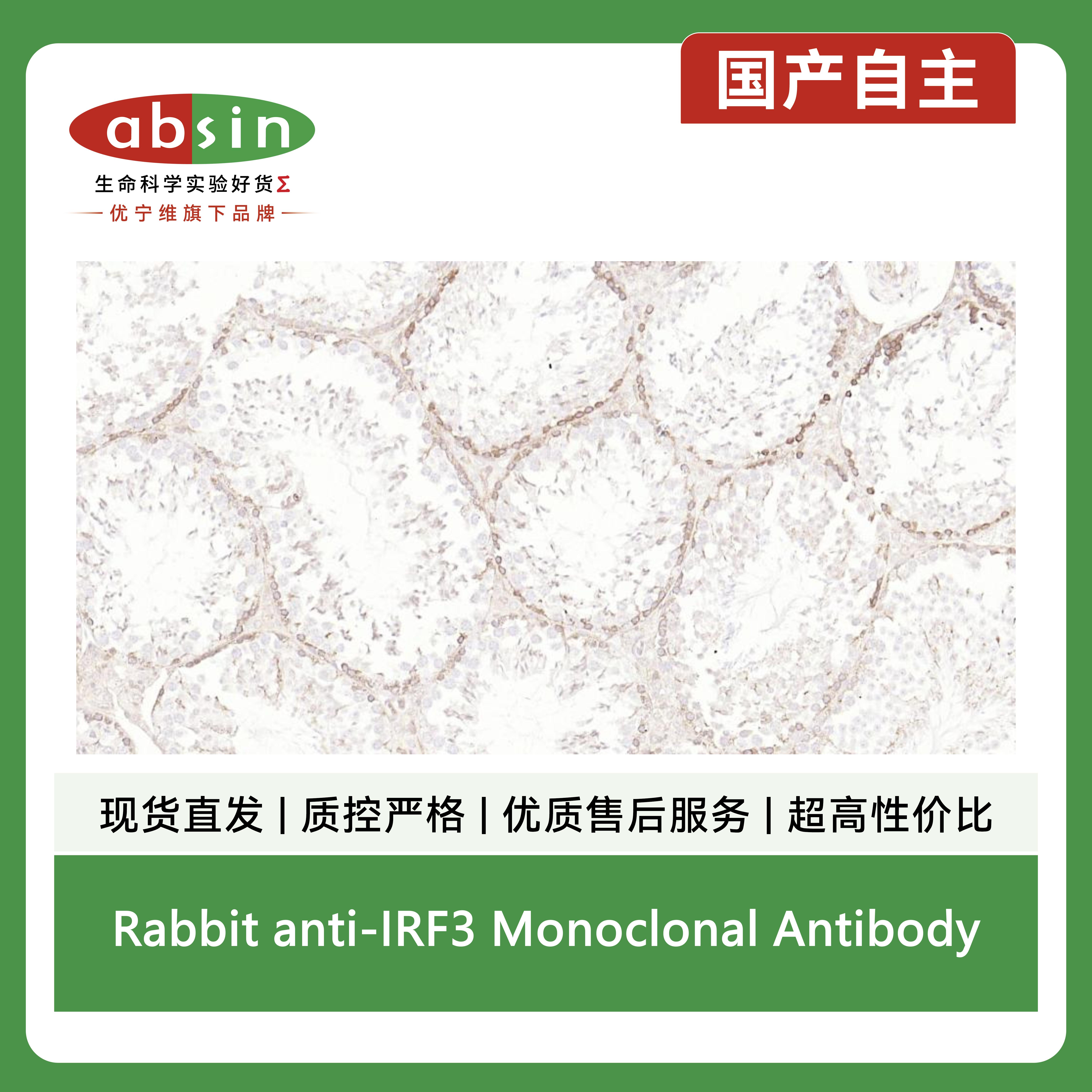产品细节图片11