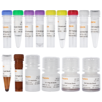 CUT&Tag实验的文库构建试剂盒 Hieff NGS® In-Situ DNA Binding Profiling Library Prep Kit for Illumina® V2