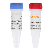 脱氧核糖核酸酶I Recombinant DNase I(RNase-free,Yeast) (5 U/μL)