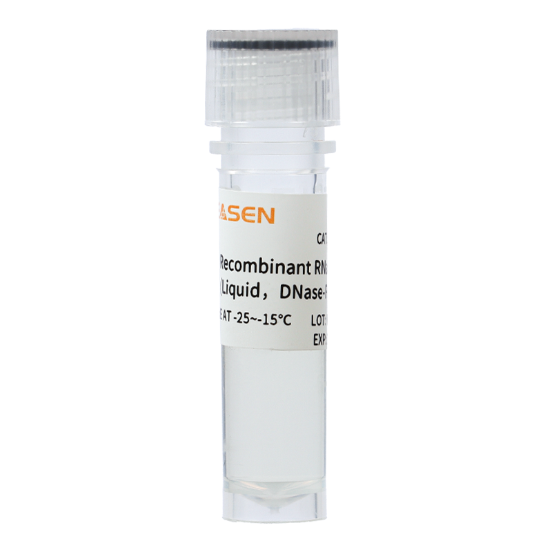 Recombinant RNase A 重组核糖核酸酶A(液体,无DNase)产品图